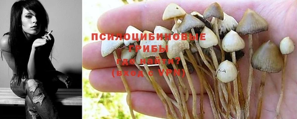 гашиш Каменногорск