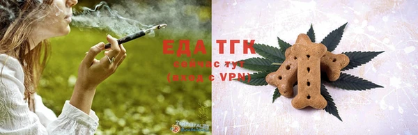 МДПВ Каменка