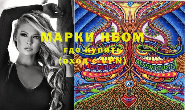 МДПВ Каменка