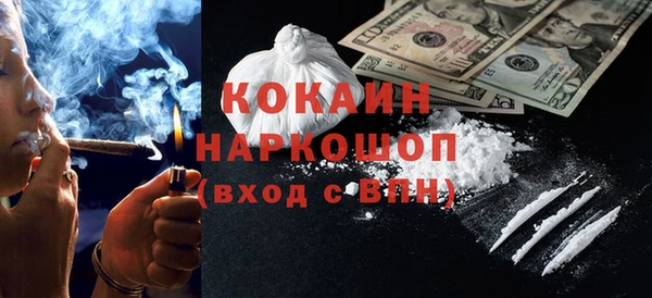 МДПВ Каменка
